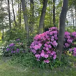 Apartment Modernes Gartenatelier Am Muehlenfliess *