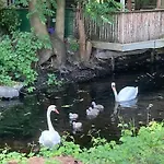 Modernes Gartenatelier Am Muehlenfliess Apartment *
