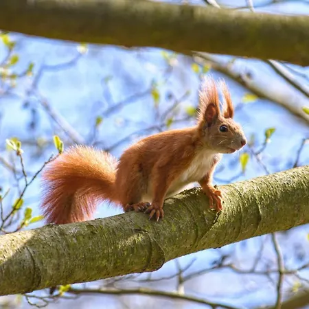 Modernes Gartenatelier Am Muehlenfliess Apartment