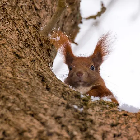 Modernes Gartenatelier Am Mühlenfließ Apartamento