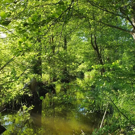 Modernes Gartenatelier Am Mühlenfließ