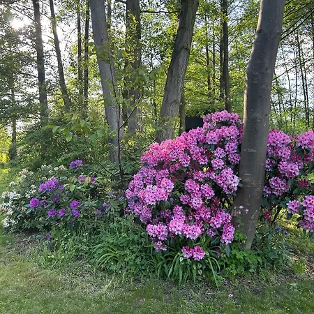 Apartment Modernes Gartenatelier Am Muehlenfliess *