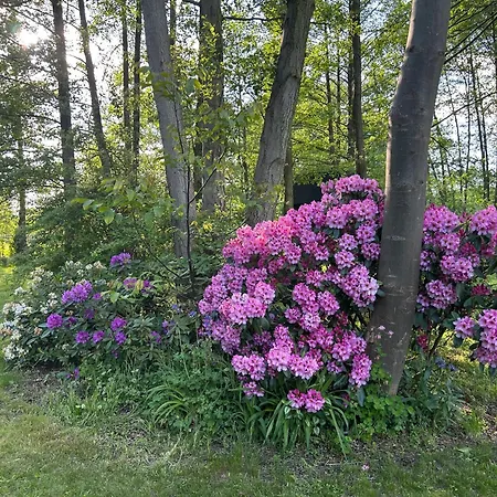 Appartement Modernes Gartenatelier Am Muehlenfliess *