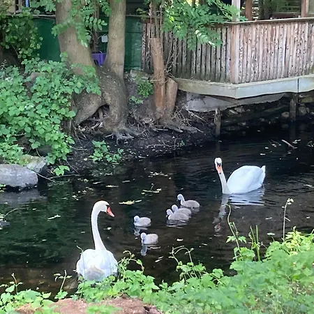 Modernes Gartenatelier Am Muehlenfliess Apartment *