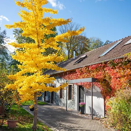 Modernes Gartenatelier Am Muehlenfliess * Storkow (Mark)