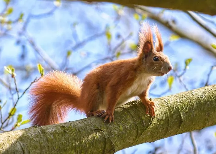 Modernes Gartenatelier Am Muehlenfliess דירה