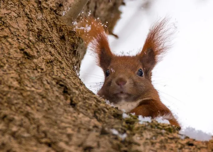 Modernes Gartenatelier Am Muehlenfliess Lägenhet