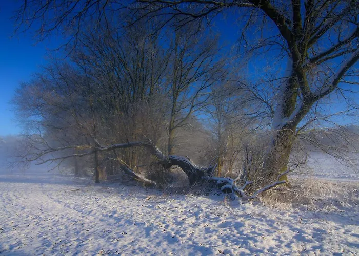 Modernes Gartenatelier Am Muehlenfliess *