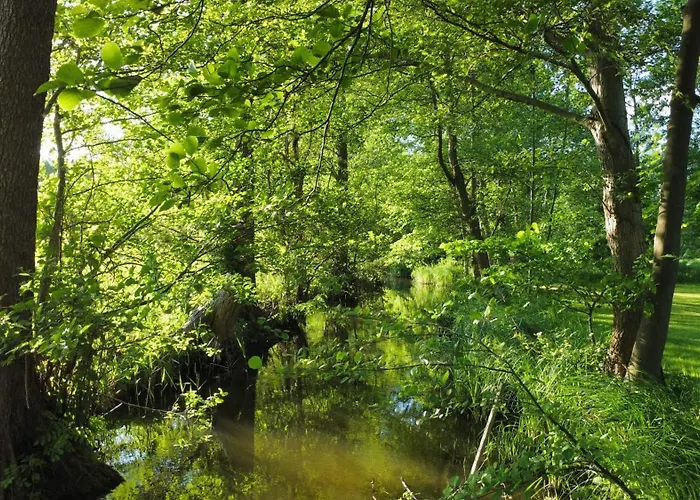 Modernes Gartenatelier Am Muehlenfliess