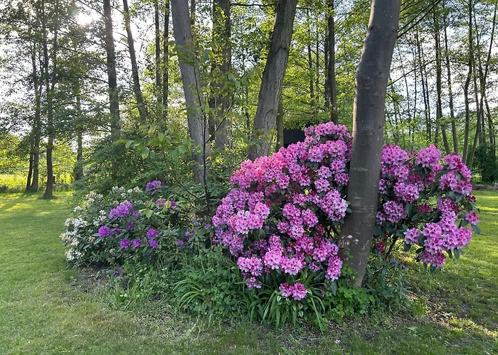 Lägenhet Modernes Gartenatelier Am Muehlenfliess *