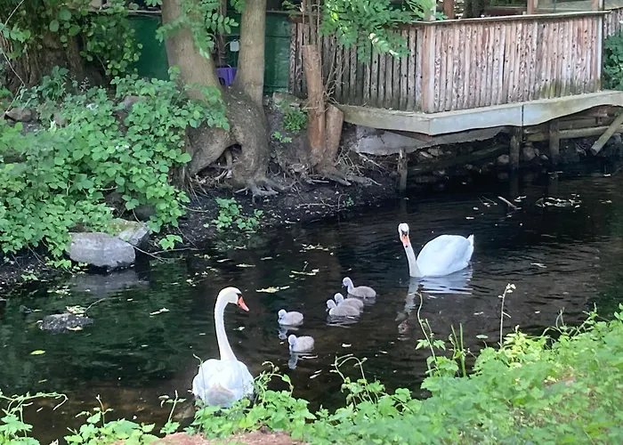 Modernes Gartenatelier Am Muehlenfliess Lägenhet *