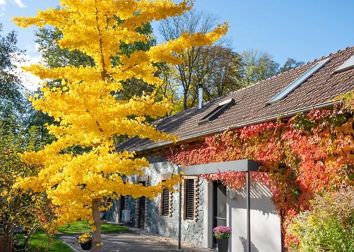 Modernes Gartenatelier Am Muehlenfliess * סטורקאו