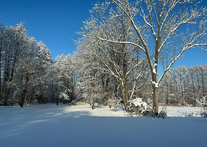 Modernes Gartenatelier Am Muehlenfliess דירה סטורקאו